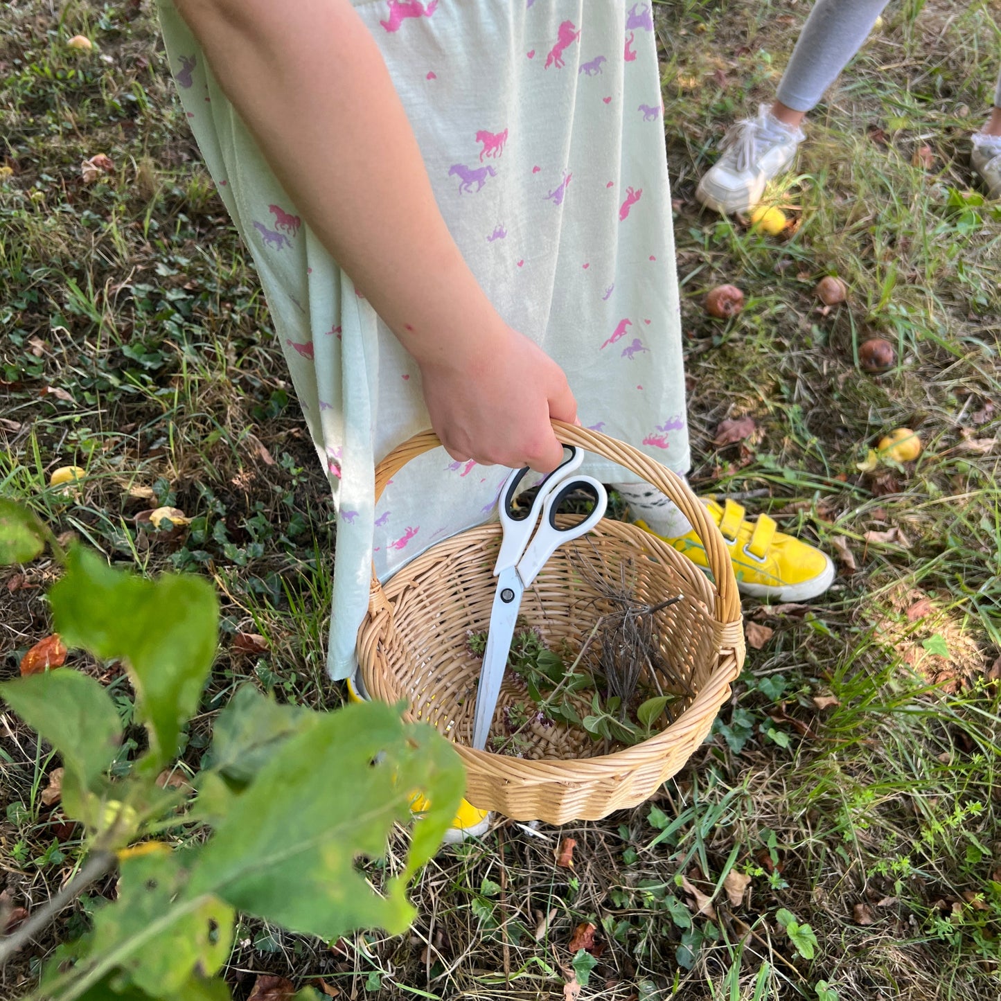 Kräuterdetektive – Workshop für Kinder (6-12 Jahre)