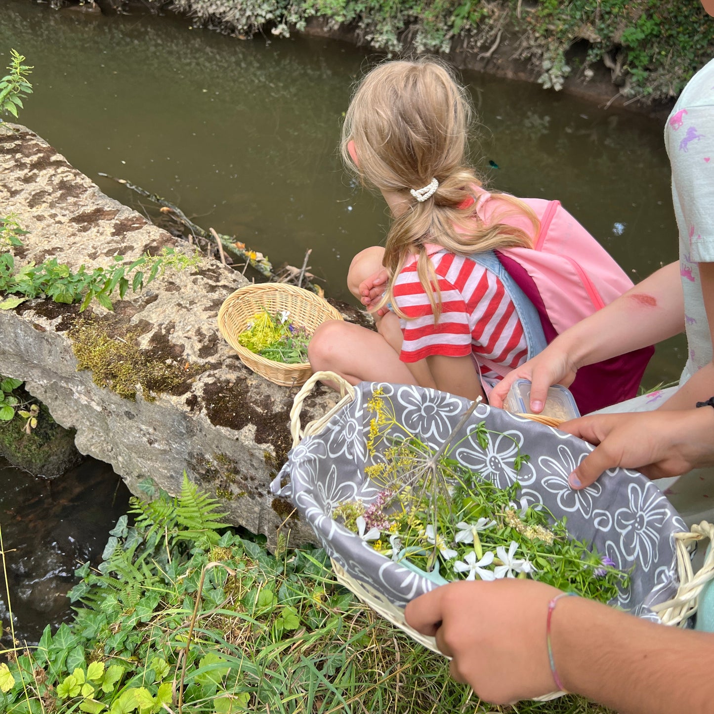 Kräuterdetektive – Workshop für Kinder (6-12 Jahre)