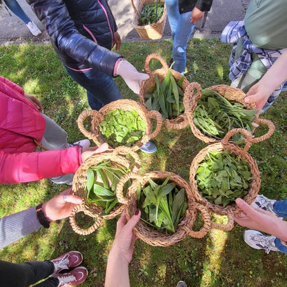 Kräuterführung in Heilbronn mit dipl. Kräuterpädagogin